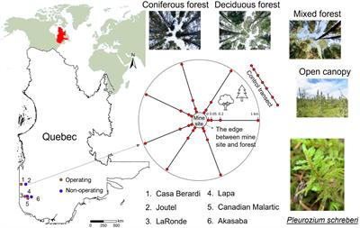 Out of site, out of mind: Changes in feather moss phyllosphere microbiota in mine offsite boreal landscapes